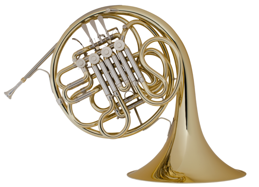 6D French Horn