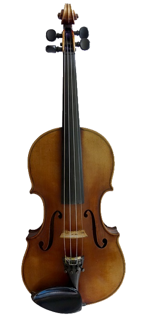 violin