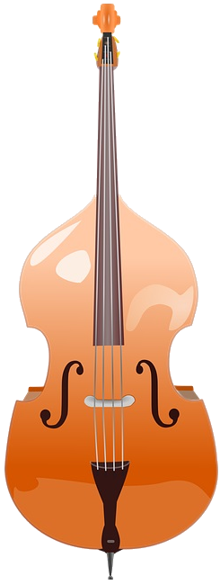 upright bass