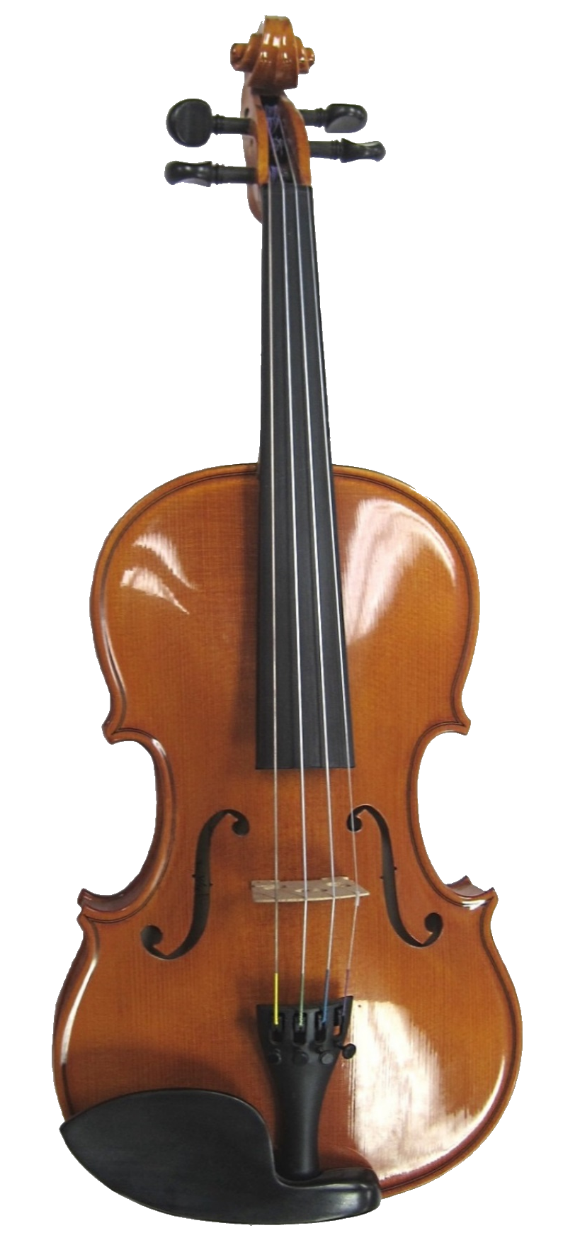 viola